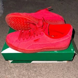 SUEDE ICED JR. ALL READ PUMAS